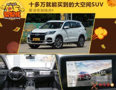 ʮ򵽵ĴռSUV 8