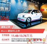 欧拉R1正式上市 售价11.48万起