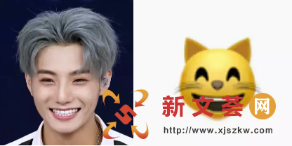 㡷ѡֵ׳ɶײкǾˣemoji