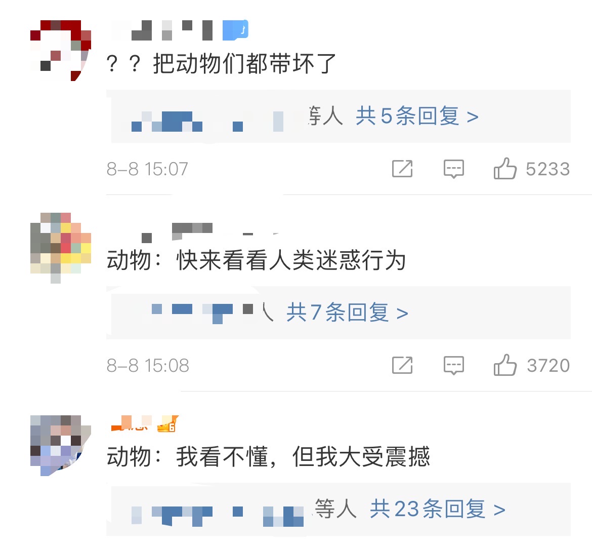 微博截图 点击进入下一页