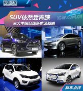 SUV依然受青睐三大中国品牌新能源战略