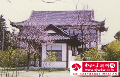 南京玄武湖“樱洲花海”流光碎影
