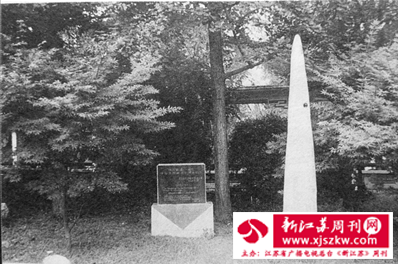 南京玄武湖“樱洲花海”流光碎影