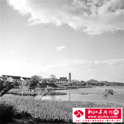 南京玄武湖“樱洲花海”流光碎影