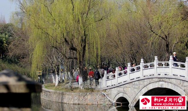 南京春光明媚 柳绿鸟鸣一派盎然春意
