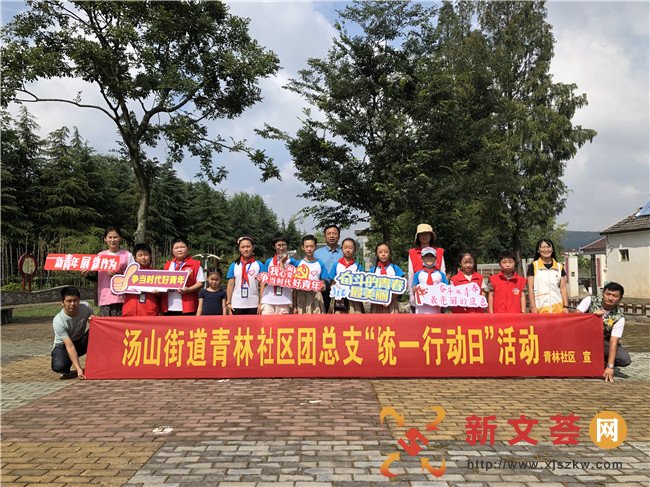 助力文明城市创建│南京江宁青林社区开展“统一行动日”活动