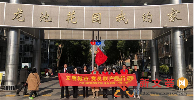 南京市六合区龙池社区联合区法院开展党员联户活动