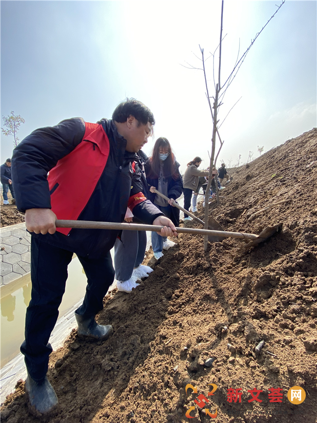 南京六合竹镇镇党组织结对共建开展义务植树活动