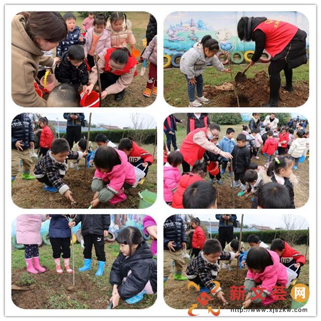 南京江宁汤山街道古泉社区：播种绿色希望 携手共同成长