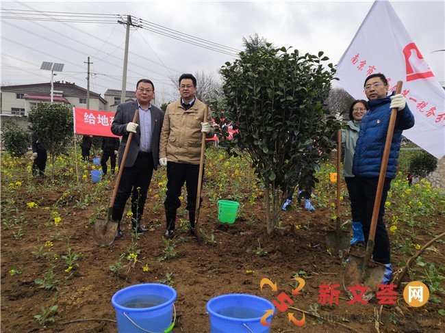 南京江宁汤山孟塘村：为美丽孟塘植绿  为盛大园博添彩