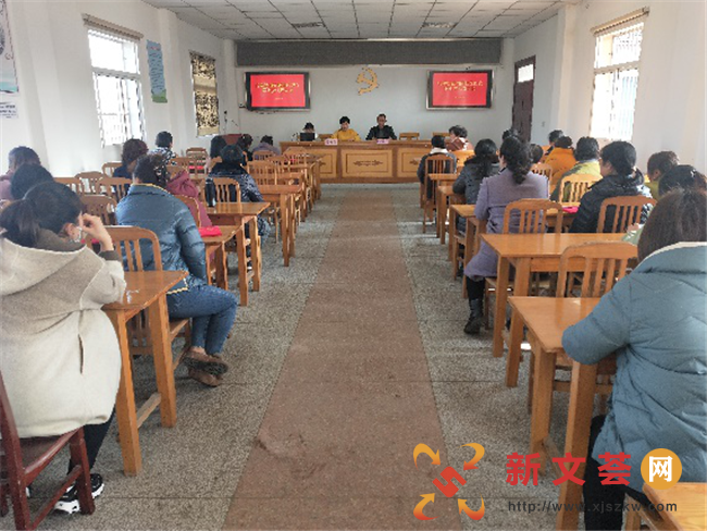 南京江宁谷里街道向阳社区开展第七届妇联换届选举大会