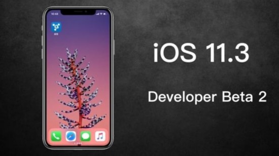 ƻiOS11.3²԰棺ֶƵ