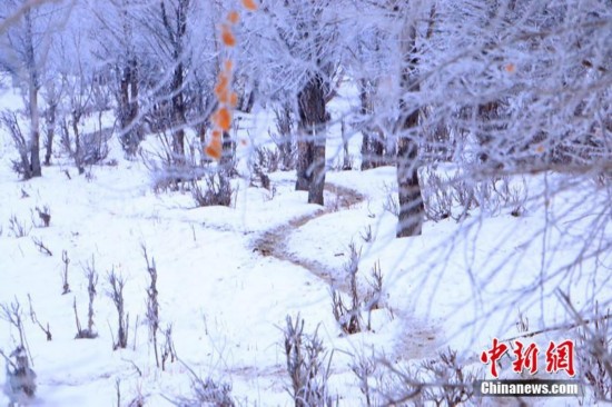 ½ڡСڡ续